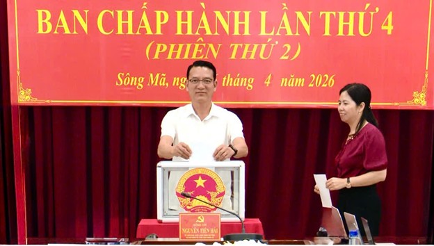 anh tin bai